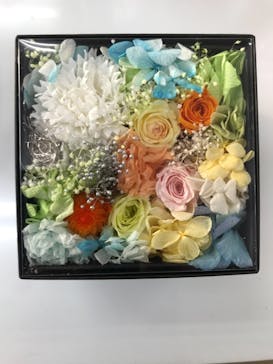 ずこうしつ〜sugamo〜に投稿された画像（2019/12/31）