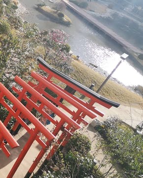 空庭温泉 OSAKA BAY TOWER（オオサカベイタワー）に投稿された画像（2019/12/31）