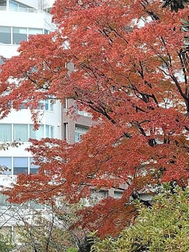 鳩山会館に投稿された画像（2020/1/1）