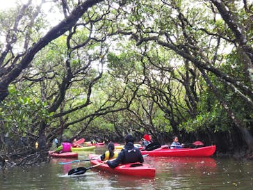 マングローブ茶屋に投稿された画像（2020/1/1）