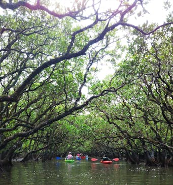 マングローブ茶屋に投稿された画像（2020/1/1）