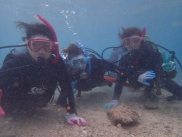 ダイビングショップ Sea Free（シーフリー）に投稿された画像（2020/1/1）