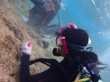 ダイビングショップ Sea Free（シーフリー）に投稿された画像（2020/1/1）