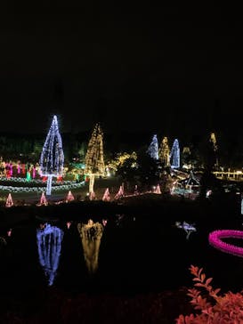 美らヤシパークオキナワ・東南植物楽園に投稿された画像（2020/1/1）