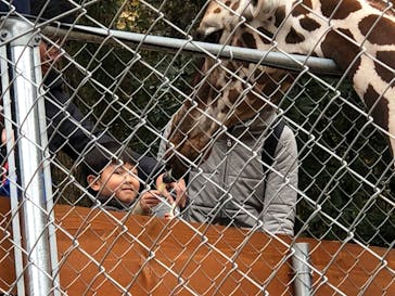 しろとり動物園に投稿された画像（2020/1/1）