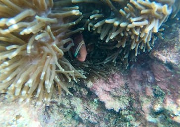 武藤潜水に投稿された画像（2020/1/1）