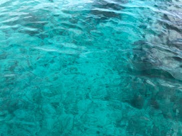 スマイルフィッシュ ダイビングサービスに投稿された画像（2020/1/1）