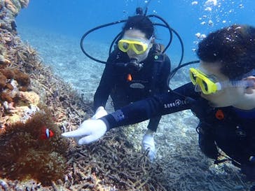 スマイルフィッシュ ダイビングサービスに投稿された画像（2020/1/1）