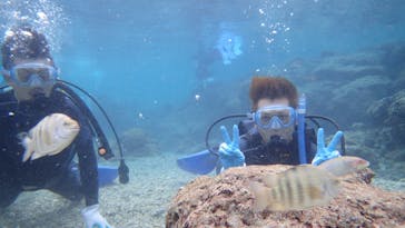 ダイビングショップ Sea Free（シーフリー）に投稿された画像（2020/1/2）