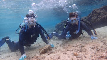 ダイビングショップ Sea Free（シーフリー）に投稿された画像（2020/1/2）