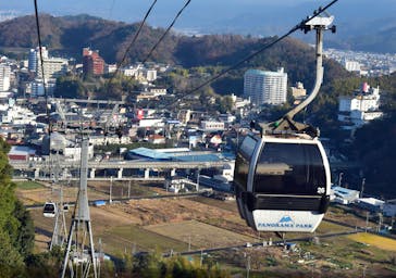 伊豆パノラマパークに投稿された画像（2020/1/2）