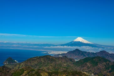 伊豆パノラマパークに投稿された画像（2020/1/2）