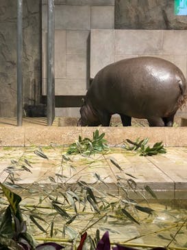 NIFREL（ニフレル）に投稿された画像（2020/1/2）