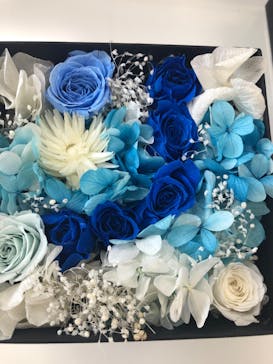 ずこうしつ〜sugamo〜に投稿された画像（2020/1/2）