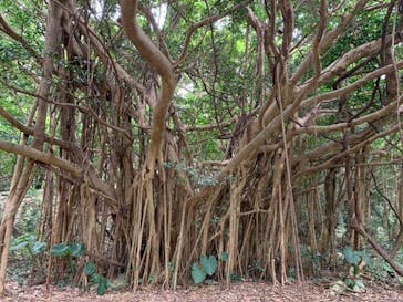 アスムイハイクスに投稿された画像（2020/1/2）