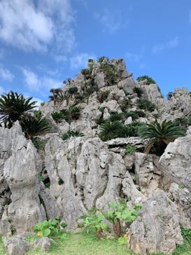 アスムイハイクスに投稿された画像（2020/1/2）