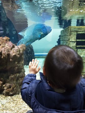 NIFREL（ニフレル）に投稿された画像（2020/1/2）