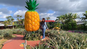 ナゴパイナップルパークに投稿された画像（2020/1/2）