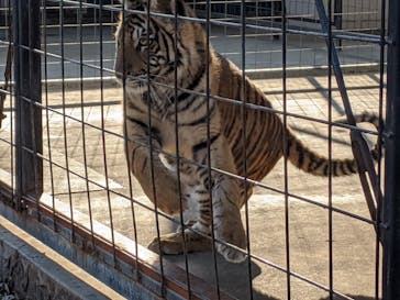 しろとり動物園に投稿された画像（2020/1/2）