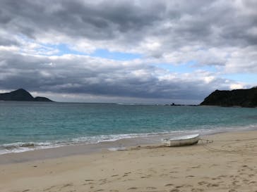 奄美ナイトツアーサービスに投稿された画像（2020/1/2）