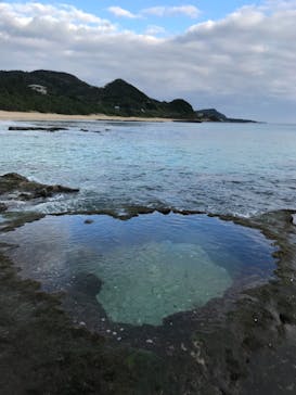 奄美ナイトツアーサービスに投稿された画像（2020/1/2）