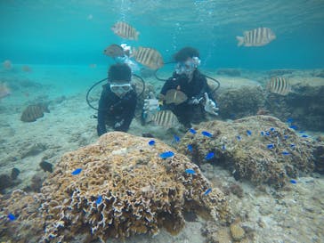 武藤潜水に投稿された画像（2020/1/2）