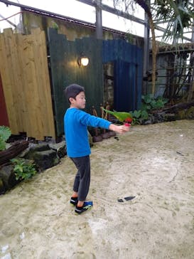 OKINAWAフルーツらんどに投稿された画像（2020/1/2）