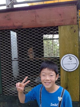 OKINAWAフルーツらんどに投稿された画像（2020/1/2）