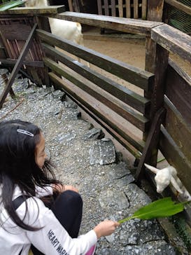 OKINAWAフルーツらんどに投稿された画像（2020/1/2）