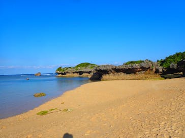 ダイビングショップ Sea Free（シーフリー）に投稿された画像（2020/1/3）