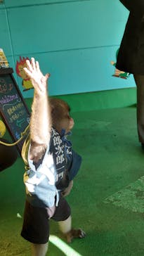 おさるランド＆アニタウン　日光さる軍団劇場に投稿された画像（2020/1/3）