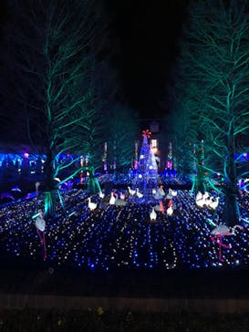 神戸イルミナージュに投稿された画像（2020/1/3）