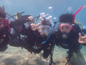 ダイビングショップ Sea Free（シーフリー）に投稿された画像（2020/1/3）