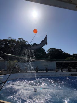 九十九島水族館海きららに投稿された画像（2020/1/3）
