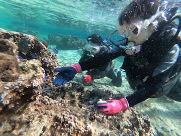 DIVING-SHOP SUNSに投稿された画像（2020/1/3）