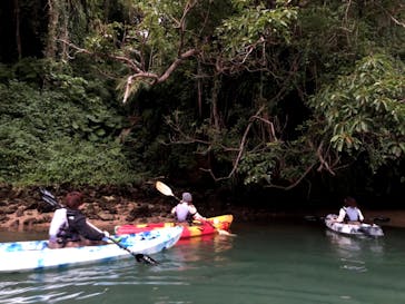 沖縄海うさぎ・海あしびに投稿された画像（2020/1/4）