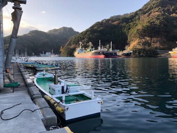 安良里漁港 係船釣りに投稿された画像（2020/1/4）