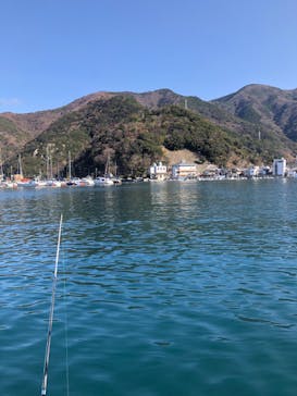 安良里漁港 係船釣りに投稿された画像（2020/1/4）