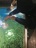 越前松島水族館に投稿された画像（2020/1/4）