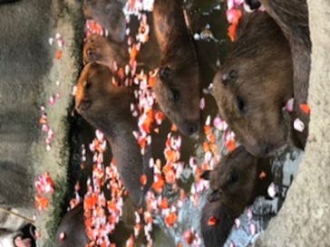 神戸どうぶつ王国に投稿された画像（2020/1/4）