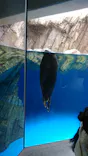 仙台うみの杜水族館に投稿された画像（2020/1/4）