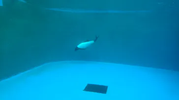 仙台うみの杜水族館に投稿された画像（2020/1/4）