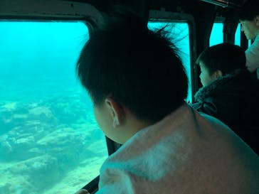 串本海中公園水族館に投稿された画像（2020/1/5）