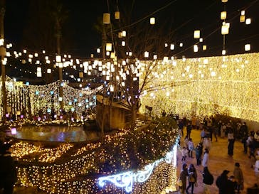 ひらかたパークに投稿された画像（2020/1/5）