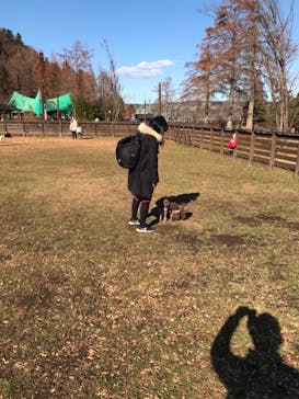 わんダフルネイチャーヴィレッジに投稿された画像（2020/1/5）