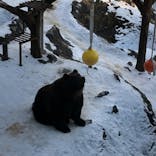 のぼりべつクマ牧場に投稿された画像（2020/1/5）