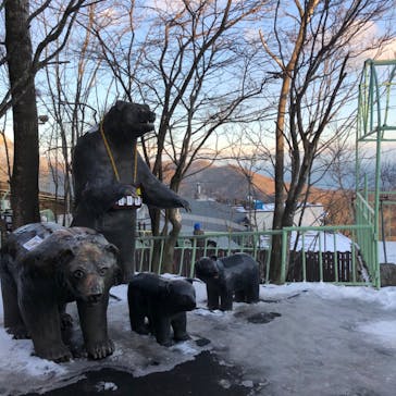 のぼりべつクマ牧場に投稿された画像（2020/1/5）