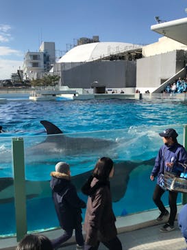 鴨川シーワールドに投稿された画像（2020/1/6）