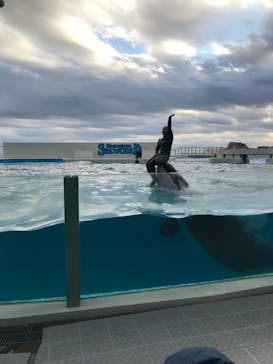 鴨川シーワールドに投稿された画像（2020/1/6）