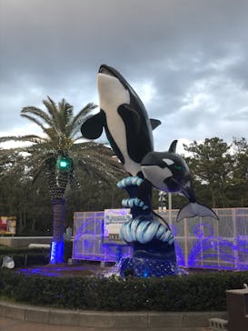 鴨川シーワールドに投稿された画像（2020/1/6）